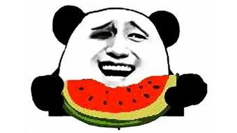 蒙面吃瓜爆料图片搞笑,笑料百出，揭秘幕后“瓜王”