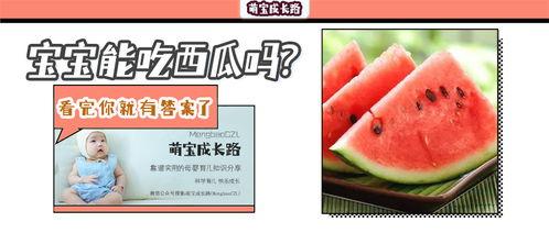 吃瓜爆料问题有哪些,吃瓜爆料背后的真相与争议