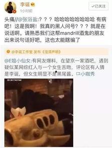 网红吃瓜爆料视频,吃瓜爆料视频背后的惊人真相
