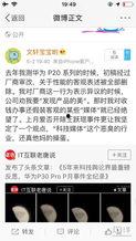 爆料吃瓜小说全文阅读,揭秘娱乐圈背后的秘密与真相