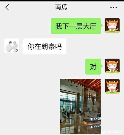 女用户吃瓜爆料视频,吃瓜视频背后的惊人真相