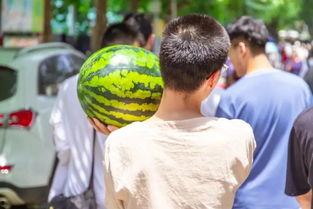 留学吃瓜黑料视频集合,那些你不知道的吃瓜黑料视频大集合