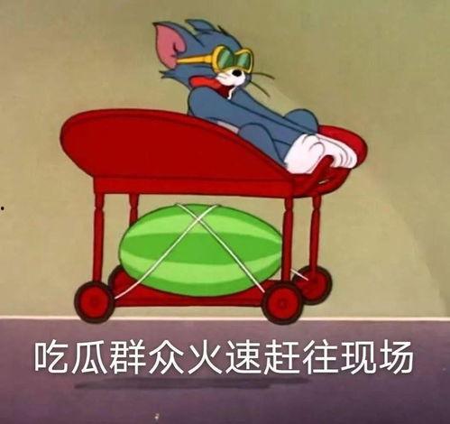 龚俊爆料吃瓜视频,揭秘娱乐圈不为人知的一面
