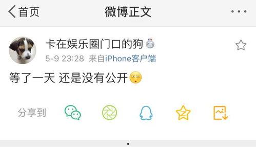 吃瓜爆料音频在线观看,音频在线观看带你领略幕后真相