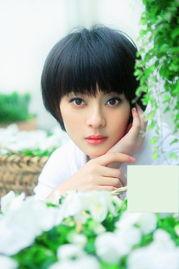 明星网红时代有哪些,流量经济的崛起与影响解析