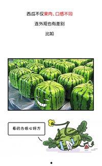 网红吃瓜爆料历史,揭秘娱乐圈那些不为人知的幕后故事